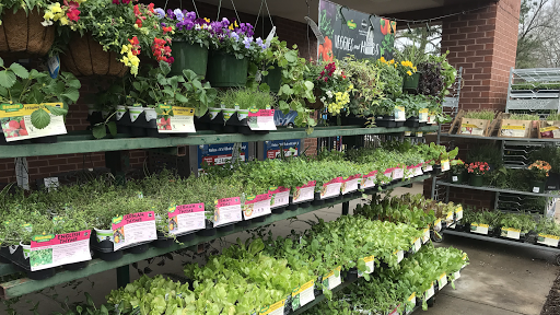 Hardware Store «Workbench Ace Hardware», reviews and photos, 4365 Roswell Rd NE, Atlanta, GA 30342, USA