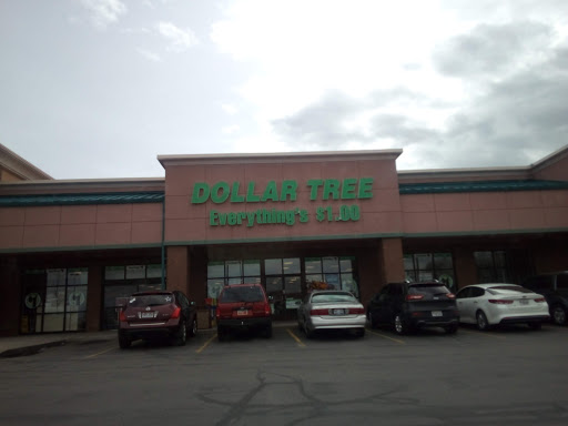 Dollar Store «Dollar Tree», reviews and photos, 8083 3500 S, Magna, UT 84044, USA