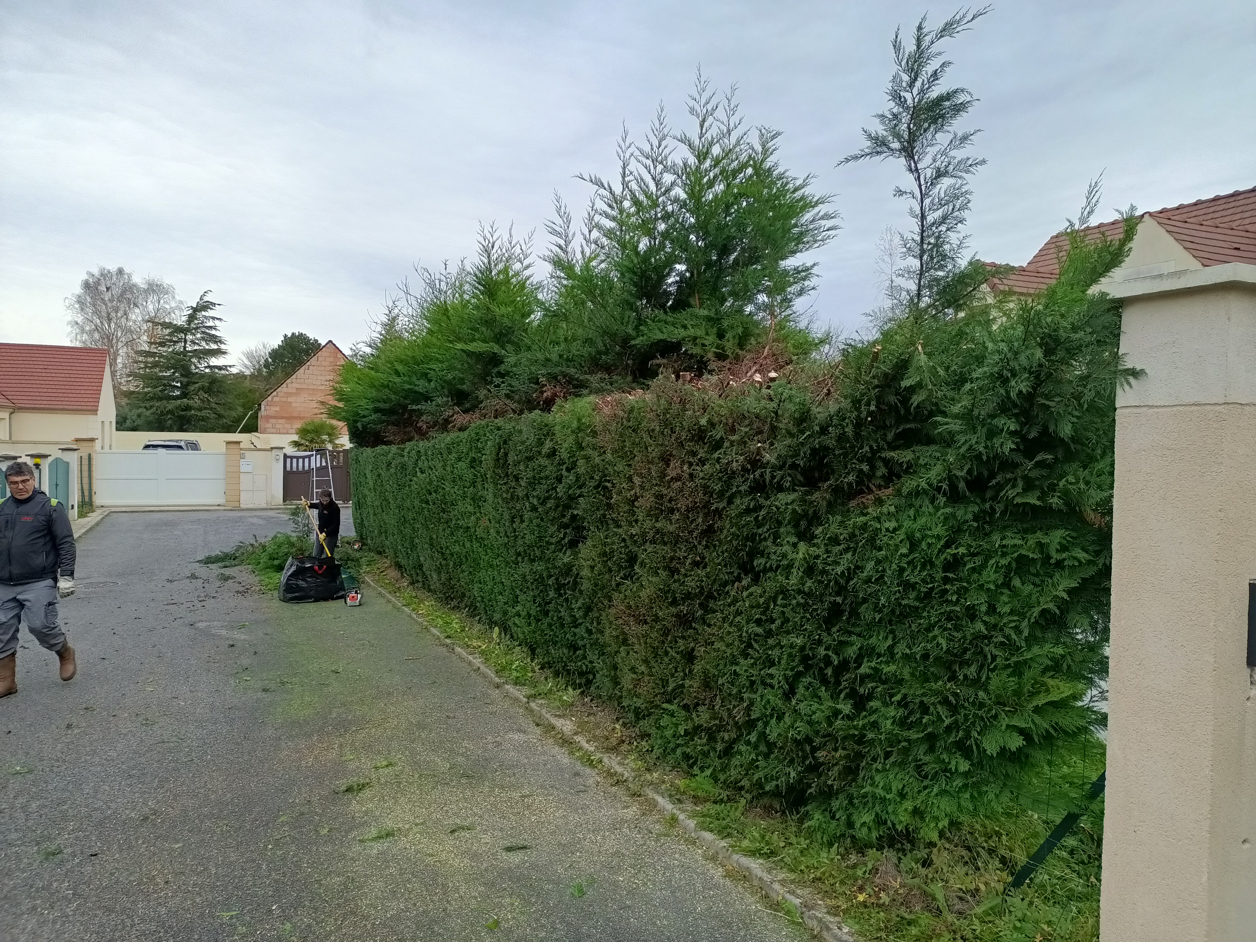 Photo n° 2 de l'avis de coucou.a fait le 04/01/2022 à 15:40