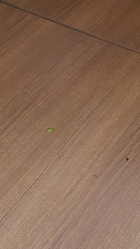 Mexican Restaurant «El Pollo Loco», reviews and photos, 5935 South St, Lakewood, CA 90713, USA