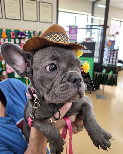 Pet Supply Store «Pet Supplies Plus», reviews and photos, 1368 N Galena Ave, Dixon, IL 61021, USA