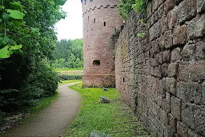 Burg Illingen image