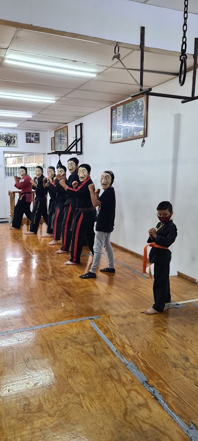 ESCUELA DE ARTES MARCIALES Y DEPORTES DE CONTACTO