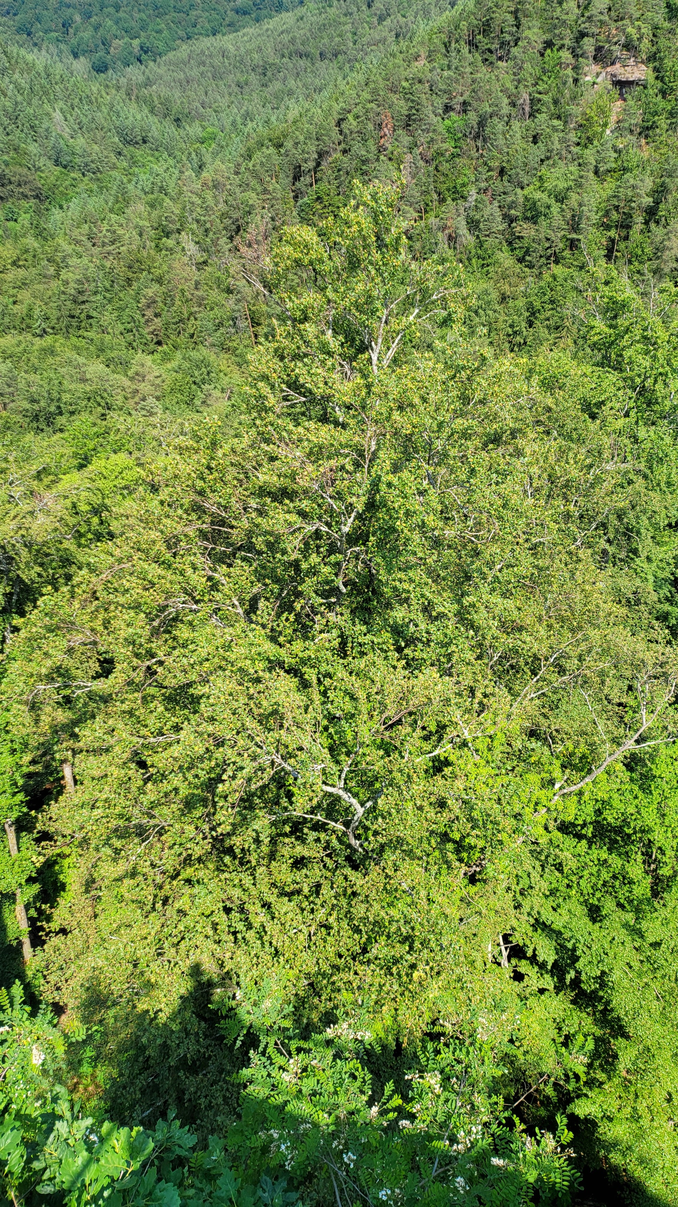 Photo n° 8 de l'avis de Enrix. fait le 08/06/2023 à 19:24