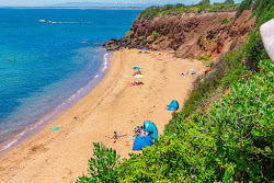 Photo de Daveys Bay Beach avec un niveau de propreté de très propre
