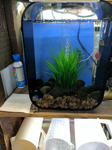 Tropical Fish Store «Emmons Tropical Fish & Ponds», reviews and photos, 1612 Hopmeadow St, Simsbury, CT 06070, USA