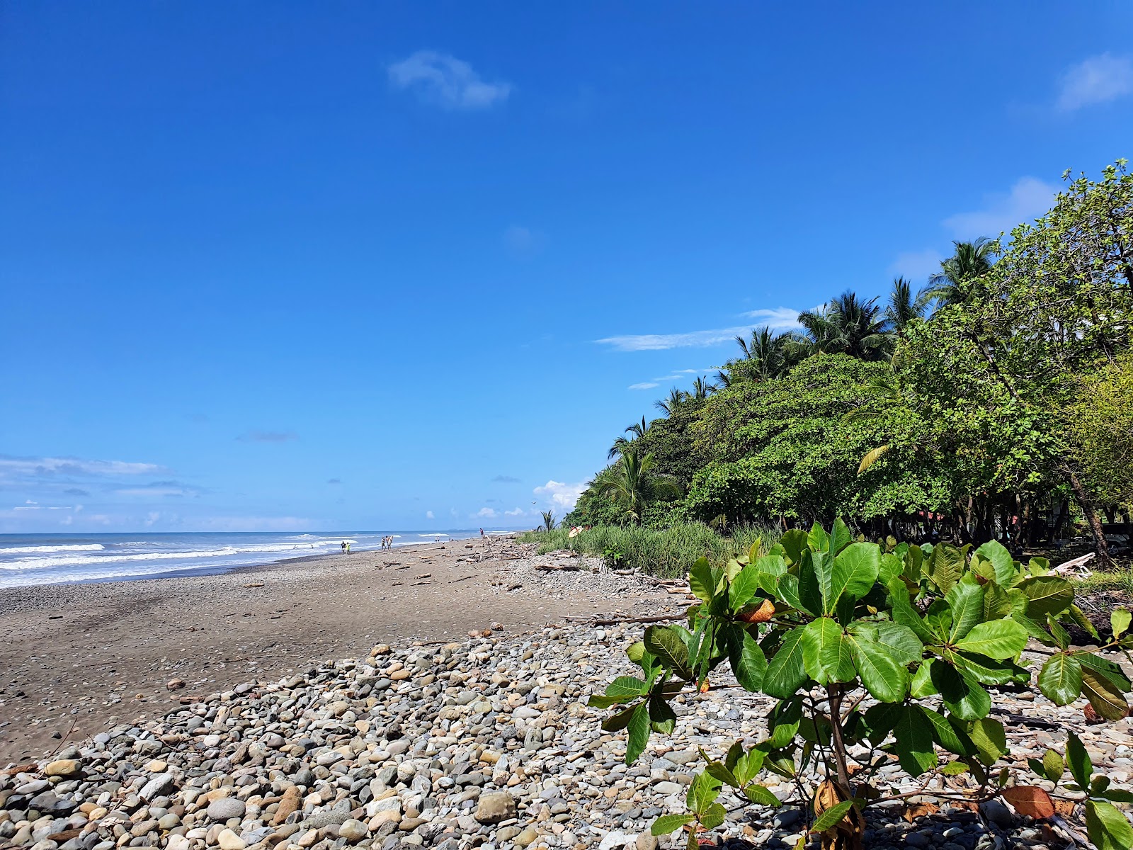 Foto av Playa Dominical med lång rak strand