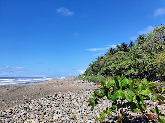 Playa Dominical