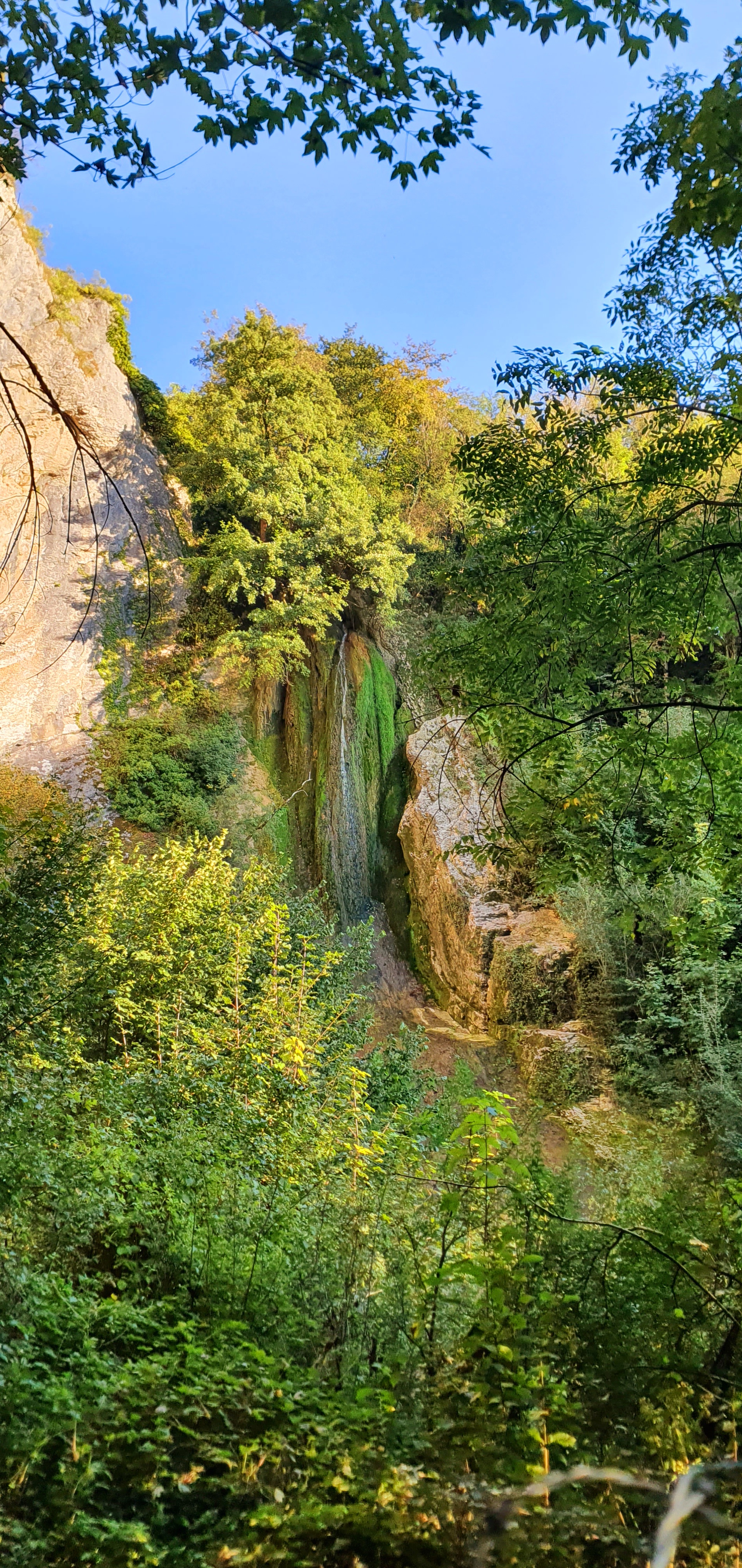 Photo n° 10 de l'avis de Amoarii.P fait le 18/09/2021 à 05:31