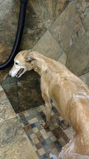 Pet Supply Store «Pet Valu», reviews and photos, 1308 Main Chapel Way, Gambrills, MD 21054, USA