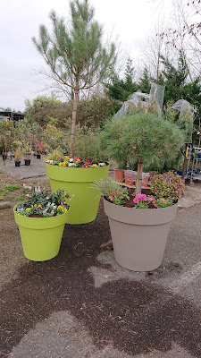 Au Jardin de Caro à Saint-Pourçain-sur-Sioule