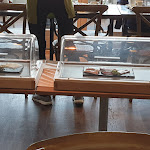 Photo n°1 de l'avis de Christof.r fait le 12/10/2019 à 20:56 sur le  aussicht · bio · hotel · restaurant · cafe - Neuburg à Neuburg an der Donau