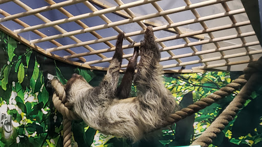 Tourist Attraction «OdySea Mirror Maze», reviews and photos, 9500 East Vía de Ventura #200, Scottsdale, AZ 85256, USA