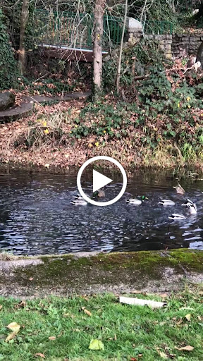 Community Center «Pringle Hall Community Center», reviews and photos, 606 Church St SE, Salem, OR 97301, USA