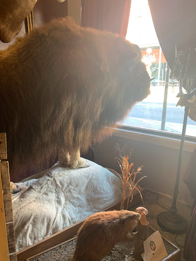 Art Gallery «Dysfunctional Grace Art Co», reviews and photos, 1903 E 7th Ave, Tampa, FL 33605, USA