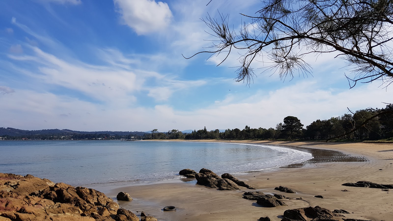 Surfside Beach'in fotoğrafı - tatil için iyi evcil hayvan dostu nokta