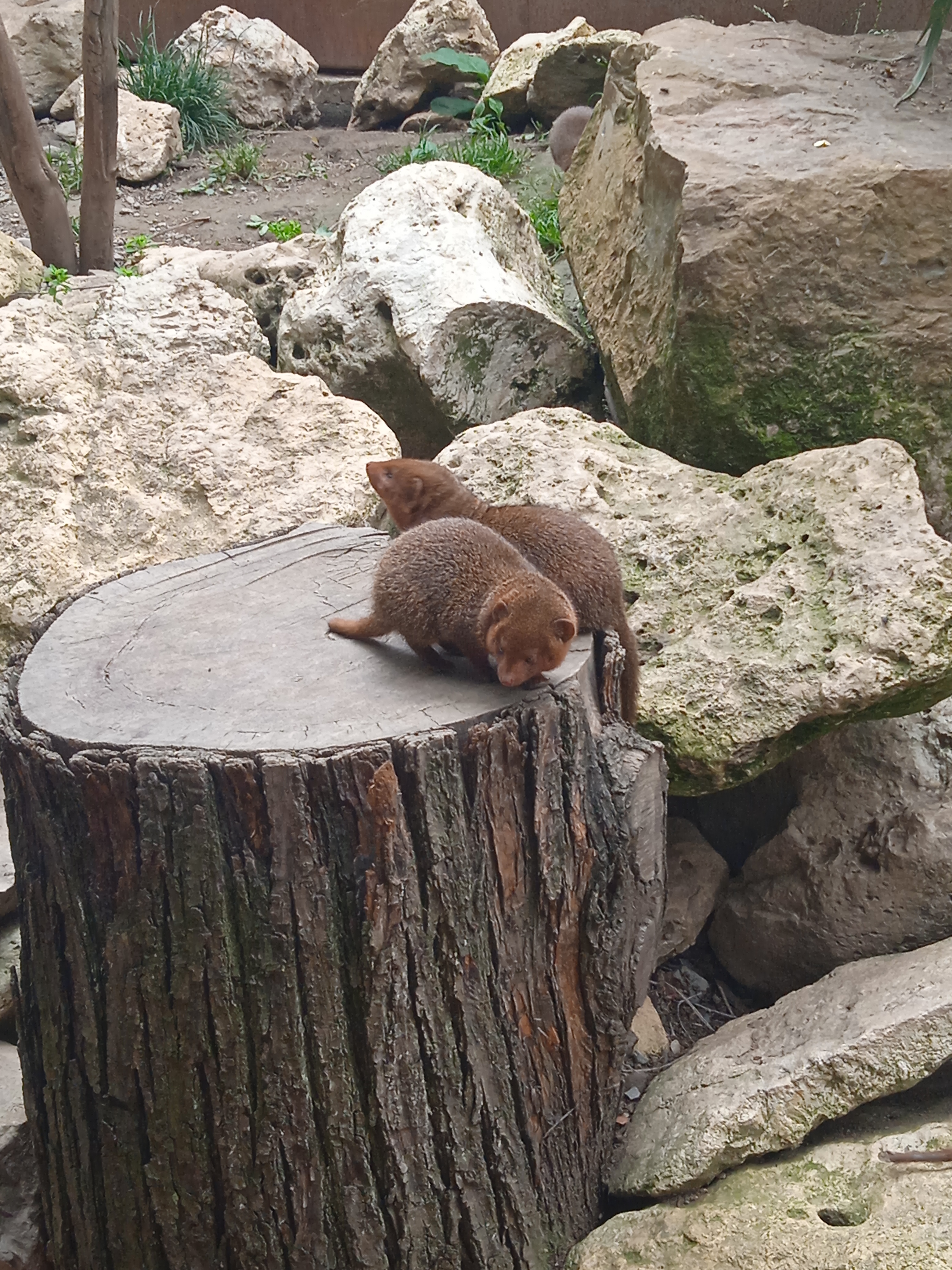 Photo n° 16 de l'avis de Gamer.p fait le 04/06/2022 à 18:21