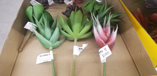 Discount Store «Big Lots», reviews and photos, 2110 S Cooper St, Arlington, TX 76013, USA