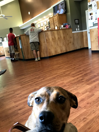 Stage Road Animal Hospital image