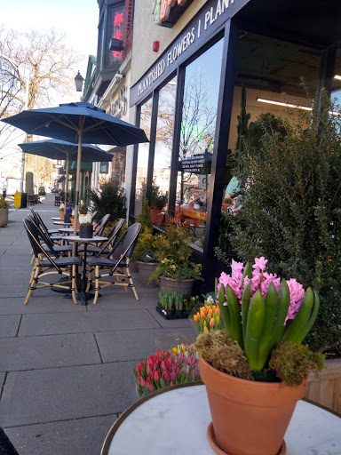 Englewood Florist, Inc., 47 E Palisade Ave, Englewood, NJ 07631, USA, 