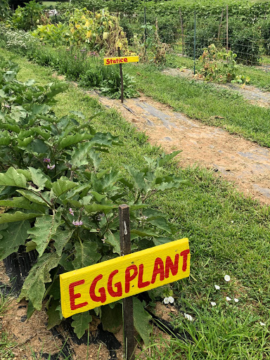 Produce Market «Richards Fruit Market», reviews and photos, 6410 Middle Rd, Middletown, VA 22645, USA