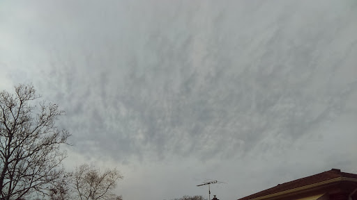 Park «Eastpointe Spindler Park», reviews and photos, 19400 Stephens Rd, Eastpointe, MI 48021, USA