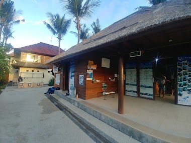 Blue Corner Dive | Freediving | Conservation - Nusa Lembongan
