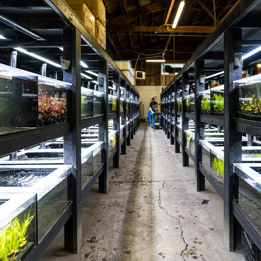 Tropical Fish Store «Aquarium Co-Op», reviews and photos, 9661 Firdale Ave, Edmonds, WA 98020, USA