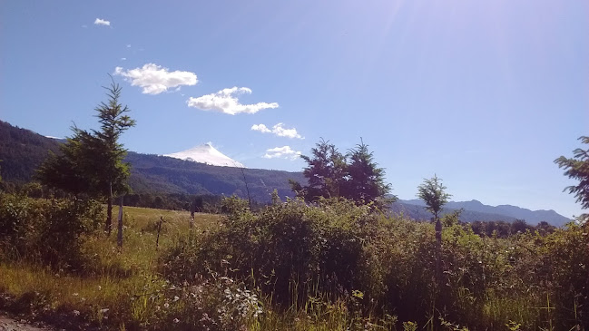 RUKA RAYEN - Palguin River, Pucón Hostel, B&B & Camping - Pucón