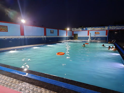 The Dolphin Swimming Pool