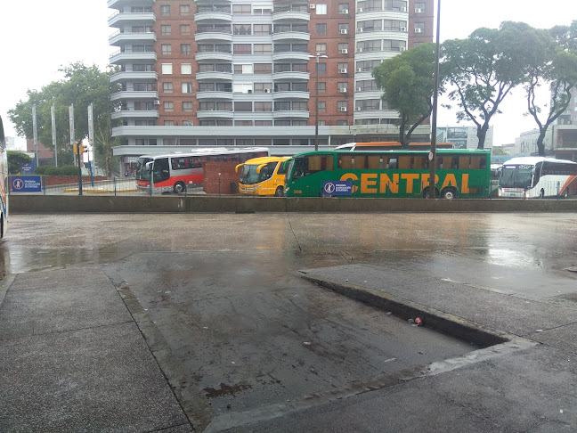 Opiniones de Grupo Agencia Central DAC en Artigas - Servicio de transporte