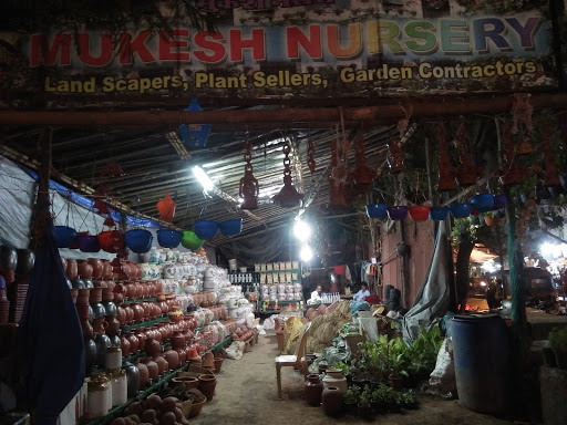 Mukesh nursery
