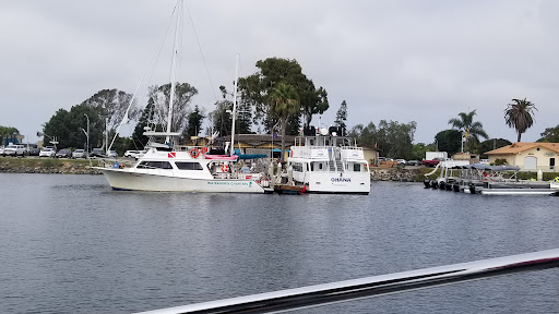 Two-hour harbour cruise and sea lion adventure tours San Diego