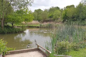 Wassell Grove Fisheries and Campsite image