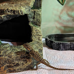 Photo n° 2 de l'avis de Amélie.l fait le 18/10/2021 à 15:09 pour Aqua'nimal à Haudainville