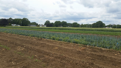 Farm «Four Town Farm», reviews and photos, 90 George St, Seekonk, MA 02771, USA