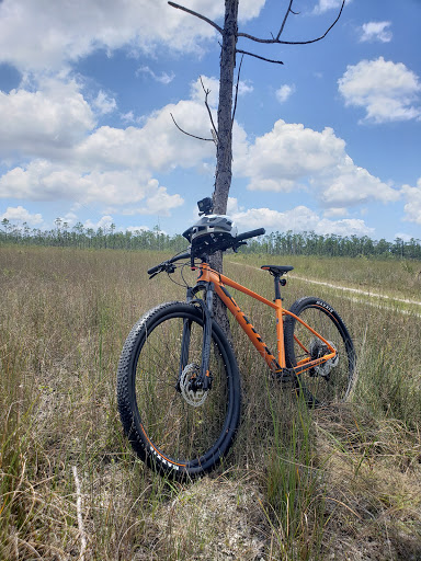 Bicycle Store «Bike Tech», reviews and photos, 7252 Bird Rd, Miami, FL 33155, USA