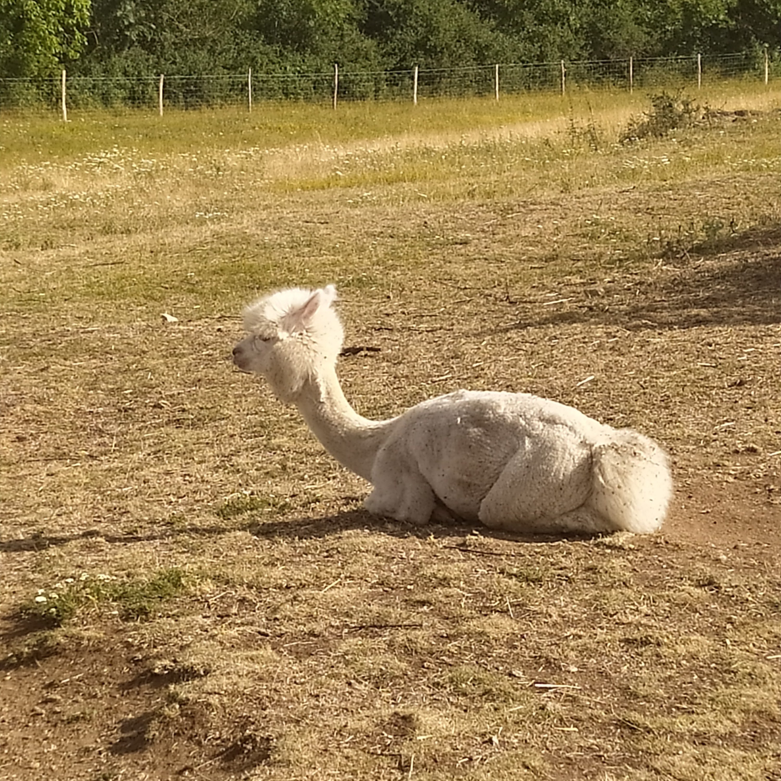Photo n° 16 de l'avis de jojosification. fait le 13/07/2023 à 17:03