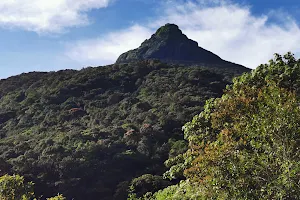 Sripada Peak Wilderness Sanctuary image