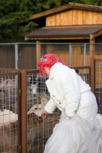 Wedding Venue «Red Cedar Farm», reviews and photos, 27054 NW Lofall Rd, Poulsbo, WA 98370, USA