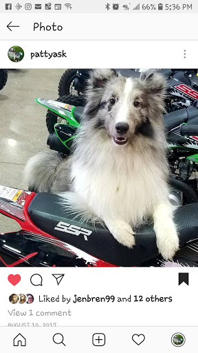 Motorcycle Dealer «Ask Powersports», reviews and photos, 2450 Park Crescent Dr, Columbus, OH 43232, USA