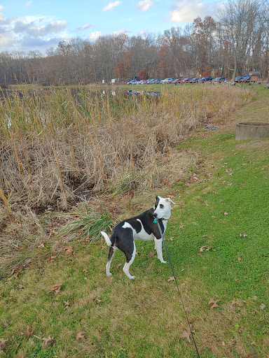 Park «Muriel Hepner Nature Park», reviews and photos, Diamond Spring Rd, Denville, NJ 07834, USA