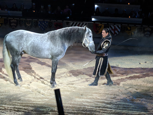 Dinner Theater «Medieval Times Dinner & Tournament», reviews and photos, 5900 Sugarloaf Pkwy #517, Lawrenceville, GA 30043, USA