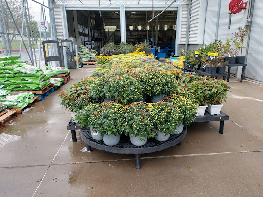 Department Store «Walmart Supercenter», reviews and photos, 1882 Holly St, Blair, NE 68008, USA