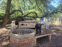Taurus Academy McNeil - Photo 9 - Car repair in Austin, TX, Round Rock
