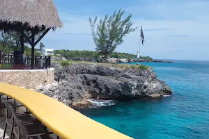 Real Tours Jamaica image