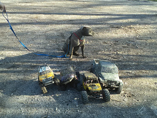 Park «Wayne County Parks & Rec», reviews and photos, 33175 Ann Arbor Trail, Westland, MI 48185, USA