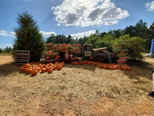 Christmas Tree Farm «Sleepy Hollow Farm & Escape Woods», reviews and photos, 628 Sleepy Hollow Rd, Powder Springs, GA 30127, USA