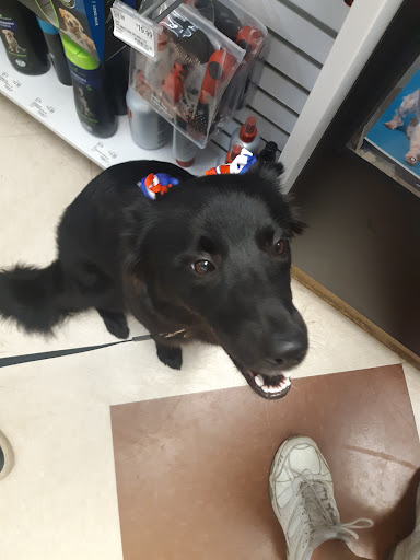Pet Supply Store «PetSmart», reviews and photos, 2101 NJ-35, Holmdel, NJ 07733, USA