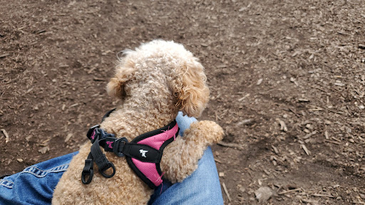 Dog Park «St. Anthony Parkway Off-Lease Dog Park», reviews and photos, 700 St Anthony Pkwy, Minneapolis, MN 55418, USA